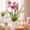 LECHUZA Planter ORCHID ALL-IN-ONE Matt white Anteprima dell’immagine prodotto 19