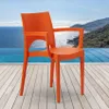 Paris Arm Grand Soleil Chaises en polypropylène avec Voir les images du produit 7