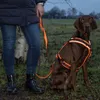 Brustgeschirr Protect - Hundebrustgeschirr - Produktbild-Vorschau 3