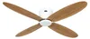 Ventilatore da soffitto a risparmio energetico con Anteprima dell’immagine prodotto 1