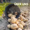 Laura Pflanzkartoffeln 2,5kg vorwiegend festkochend, Produktbild-Vorschau 7