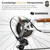 Dallas Bike Citybike 28 Zoll - für Damen & Herren - Shimano Produktbild-Vorschau 4