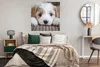 MuchoWow® Poster Nahaufnahme eines Cavachon-Welpen 100x100 Produktbild-Vorschau 4