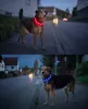 PRECORN LED Silikon Hundehalsband Set in Rot und Blau | Produktbild-Vorschau 2