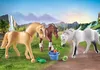 PLAYMOBIL Horses of Waterfall 71356 3 Pferde: Morgan, Produktbild-Vorschau 11