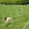 Pawhut Paws zestaw płotków do agility zestaw treningowy dla Podgląd zdjęcia produktu 1