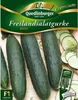 Quedlinburger Saatgut - Gurken Freilandsalat- Jazzer - Produktbild-Vorschau 5