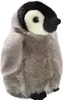 A plush toy penguin chick. Produktbild-Vorschau