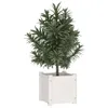 vidaXL Pflanzkübel Weiß 31x31x31 cm Massivholz Kiefer Produktbild-Vorschau 3