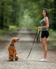 lionto Laisse à pister pour chiens 20 m caoutchoutée, Voir les images du produit 2