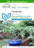 SAFLAX - Tamarinde - Tamarindus indica - 4 Samen - Mit Produktbild-Vorschau 1