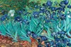 Van Gogh - Poster - Les Irises Produktbild-Vorschau 1