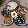 2 x 10 Stk. Lyra Pet®  Halbe Kokosnuss gefüllt mit Topping Produktbild-Vorschau 2