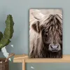 MuchoWow® - Leinwandbilder - Schottischer Highlander - Produktbild-Vorschau 4