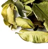 Kaffirlimettenblätter Produktbild-Vorschau 4