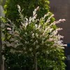 Bloomique - 2er-Set - Salix Integra Flamingo - bunte Weide Produktbild-Vorschau 3