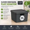 Plastard Boxen 31 L, 3er-Set, stapelbar, BPA-frei, Produktbild-Vorschau 2