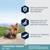 Pienso Eukanuba Breed Specific Adulto Pollo 2 Kg Anteprima dell’immagine prodotto 4
