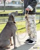guinzaglio per cani da riporto lionto, sicuro, elegante e Anteprima dell’immagine prodotto 7