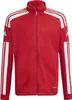 Adidas Mikiny Squadra 21 Training, GP6458, Velikost: 159 Náhled obrázku produktu 1
