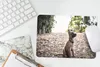 MuchoWow® Mauspad Mousepad Malinois-Schäferhund-Welpe Produktbild-Vorschau 5
