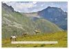 Hoch oben in den Ötztaler Alpen (Wandkalender 2027 DIN A4 Produktbild-Vorschau 10