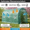 BRAST Gewächshaus Foliengewächshaus mit Stahlfundament | Produktbild-Vorschau 6