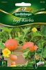 Topfkürbis Mini Hokkaido Zora | Gemüsesamen von Produktbild-Vorschau 1