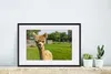 MuchoWow® MuchoWow® Gerahmtes Poster Baby - Alpaka - Gras Produktbild-Vorschau 4