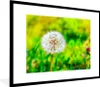 MuchoWow® Gerahmtes Poster Löwenzahn - Gras - Blume 80x60 Produktbild-Vorschau 1