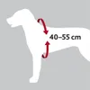 TRIXIE Hundeautogeschirr Comfort zur Sicherung auf Produktbild-Vorschau 2
