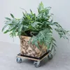 Nature Pflanzenroller Quadratisch 38x38 cm Schwarz Holz Produktbild-Vorschau 2