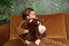 NOXXIEZ - Peluches - Singe (avec fonction moufle) Peluche Voir les images du produit 3