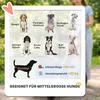 PawHut Hundewagen Faltbar Hundebuggy für mittelgroße Hunde Produktbild-Vorschau 5