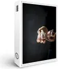 raxxa Premium-Puzzle "Garlic", 1000 Teile Produktbild-Vorschau 1