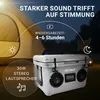 NooMii ColdBeats 35 - Box refrigerante con altoparlante Anteprima dell’immagine prodotto 6