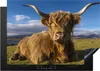 KitchenYeah© Herdabdeckplatte Schottische Highlander - Produktbild-Vorschau 1