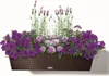 Balkon 80Cm Lechuza Cottage Produktbild-Vorschau 23