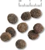 Several pieces of dog food are scattered on a white background, with a ruler indicating scale. Produktbild-Vorschau