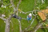Gardena Akku-Teleskop-Baumschere  HighCut 360/18V P4A solo Produktbild-Vorschau 9