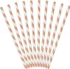 PartyDeco SPP1M-019RJ, Roségold, Weiß, Papier, 195 mm, 10 Produktbild-Vorschau 6