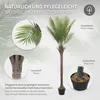 ML-Design Umělá palma 180 cm, tropická umělá palma, umělá Náhled obrázku produktu 4