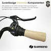 Dallas Bike Fahrrad - Damenfahrrad 28 Zoll - Shimano 7-Gang Produktbild-Vorschau 5