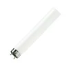 A single fluorescent light tube is shown against a white background. Produktbild-Vorschau