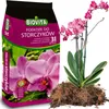 A bag of orchid substrate next to a potted orchid plant. Produktbild-Vorschau