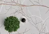 A top-down view of a rug with a branch pattern, a small potted plant, and a cup of coffee. Náhled obrázku produktu