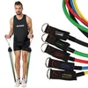 A man is demonstrating the use of resistance bands for exercise, with a set of resistance bands shown separately on the right. Náhled obrázku produktu
