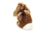 A stuffed toy rabbit shown from behind against a white background. Anteprima dell’immagine prodotto