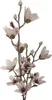 Clayre & Eef Fiore artificiale 92 cm Beige Plastica Anteprima dell’immagine prodotto 1