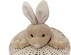 A plush bunny toy resting on a white woven basket. Produktbild-Vorschau